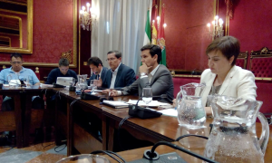 Representantes institucionales en la reunión celebrada ayer en el Ayuntamiento de Granada./David González.